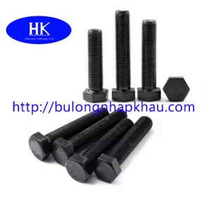 Bulong ren mịn cấp bền 10.9