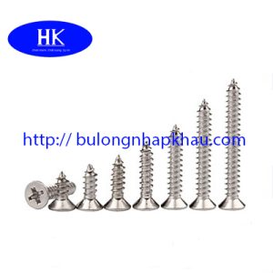 VÍT GỖ ĐẦU BẰNG INOX DIN 7982C