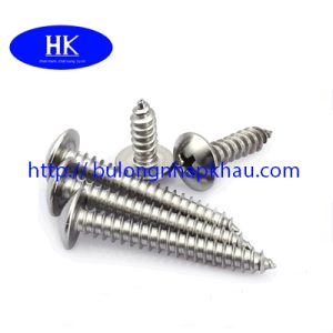 VÍT GỖ ĐẦU DÙ INOX DIN 7984C