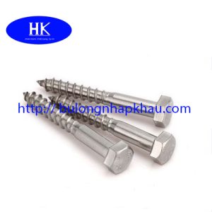 VÍT PHONG DIN571